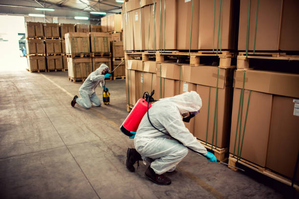 Professional Pest Control in Bastrop, TX
