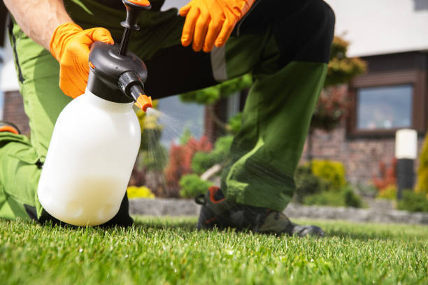 Best Mosquito Control Services  in Bastrop, TX