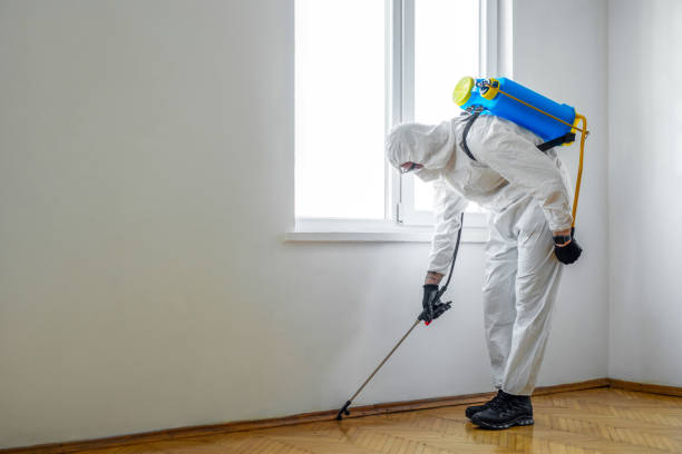 Best Best Pest Control Companies  in Bastrop, TX