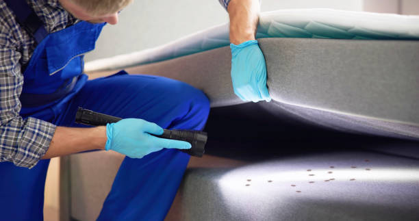 Best Pest Inspection Near Me  in Bastrop, TX