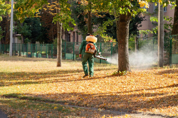 Best Cockroach Control Services  in Bastrop, TX