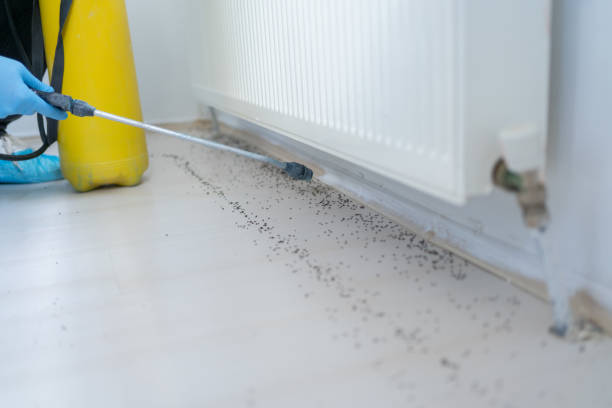 Best Pest Control Near Me  in Bastrop, TX
